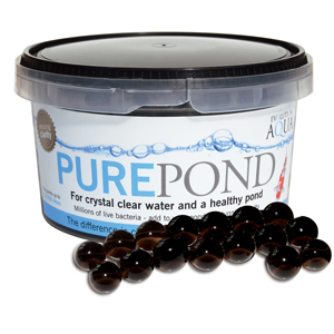 Pure Pond
